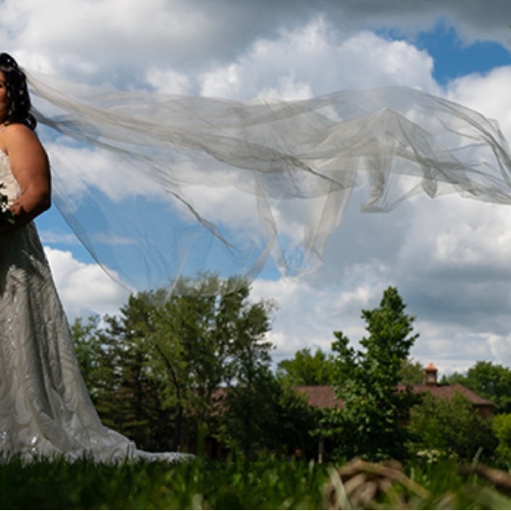 Toni Federici Elegant White Sheer Veil - Picture 7 of 7